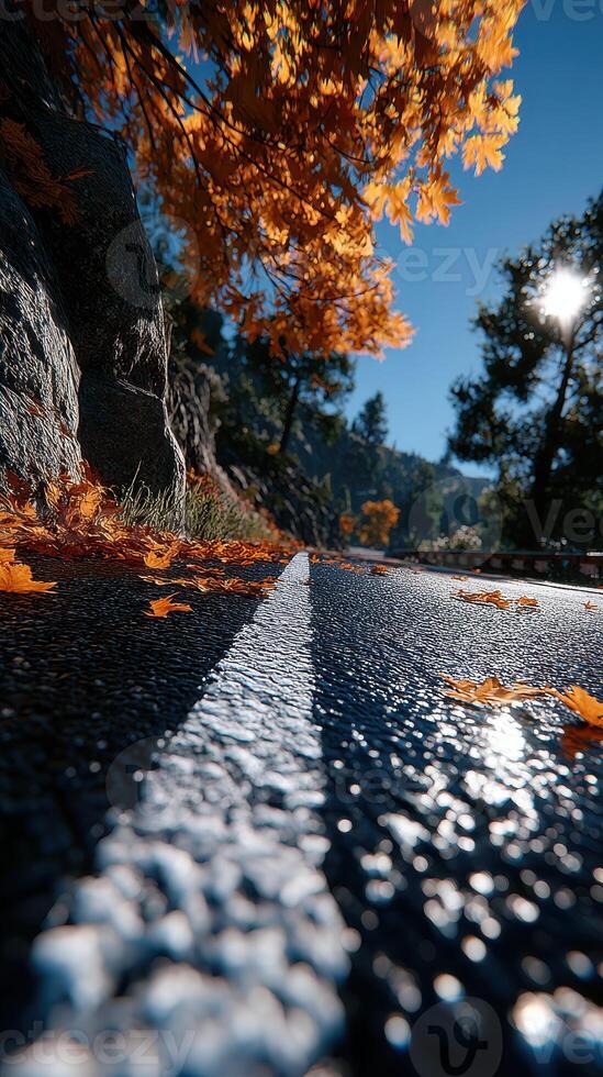 Beautiful autumn landscape with fallen leaves along a scenic road in the mountains during sunny daylight photo