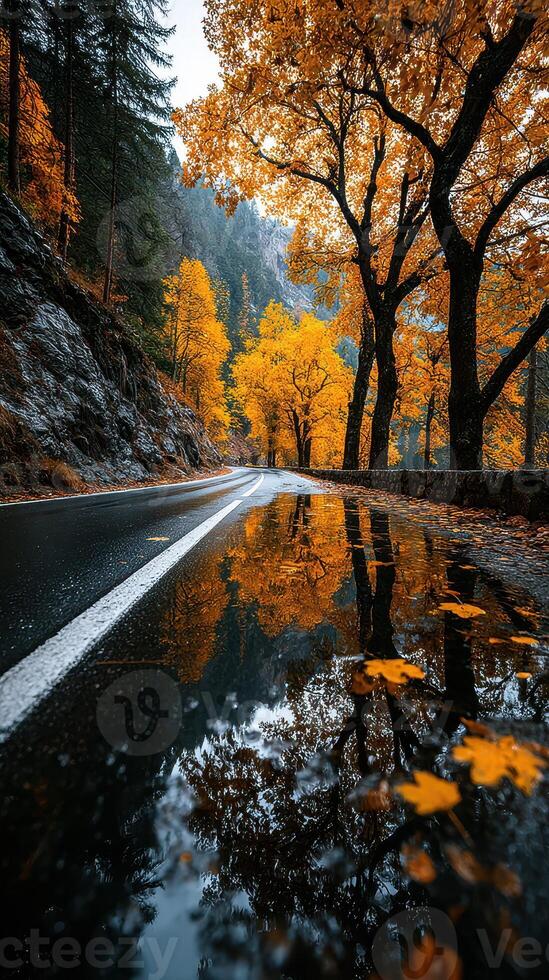 Autumn road with vibrant orange trees and reflective puddles after rain in a mountainous area photo