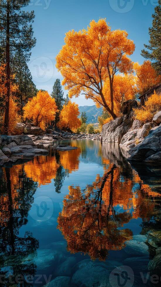Autumn colors reflect beautifully in a serene mountain stream under a clear blue sky in mid-afternoon light photo