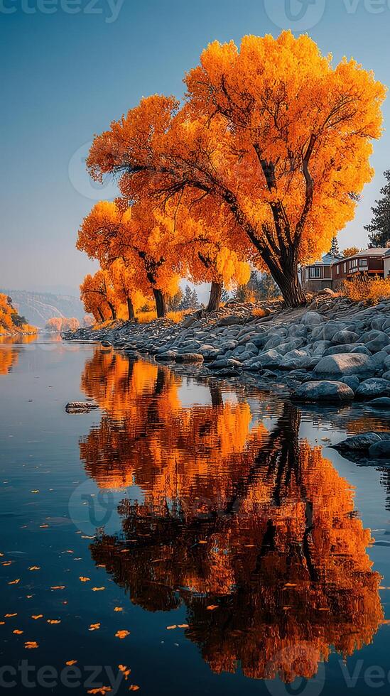 Vibrant autumn trees reflecting on a tranquil river during a clear day in a serene landscape photo