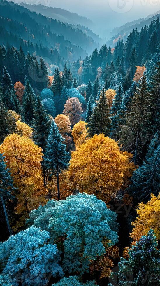 Vibrant forest landscape showcases autumn colors in a serene mountainous region under soft morning light photo