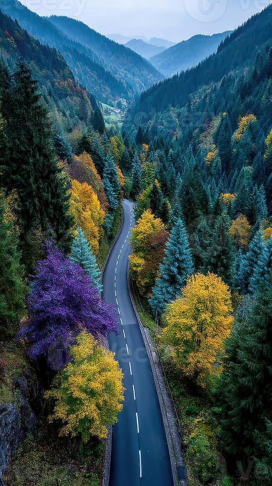 Colorful autumn trees lining a winding road in a mountainous valley during early morning light photo