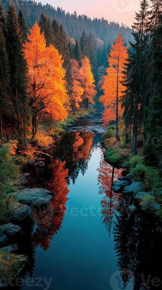 Autumn landscape with vibrant orange trees reflecting in calm river at sunrise near forest photo
