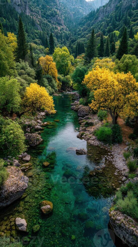 Serene river flows through vibrant autumn forest in mountainous region photo