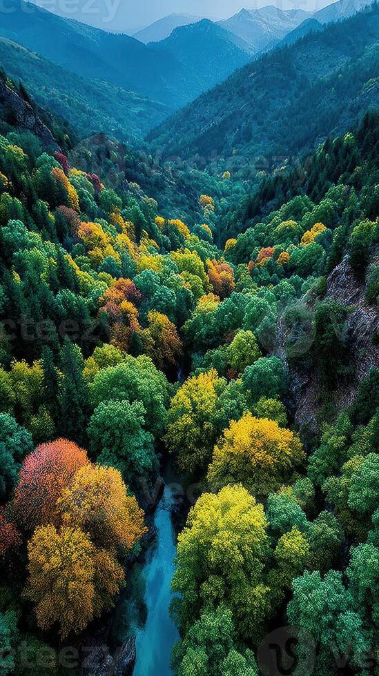 Vibrant autumn foliage over a river winding through a mountainous valley in the early morning light photo