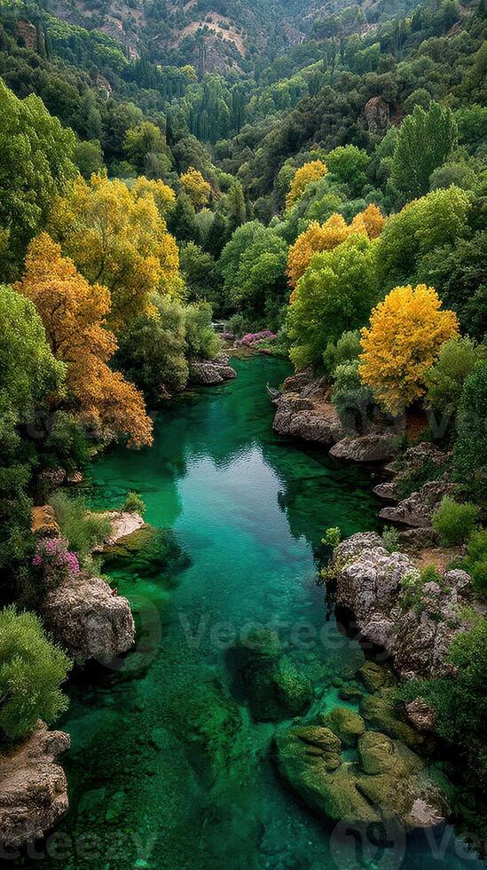 Tranquil river surrounded by lush green and autumn-colored trees at midday in a serene forest area photo