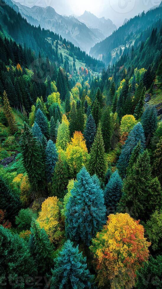 Vibrant forest landscape showcasing a blend of green, yellow, and orange trees in a mountainous valley during early autumn morning photo