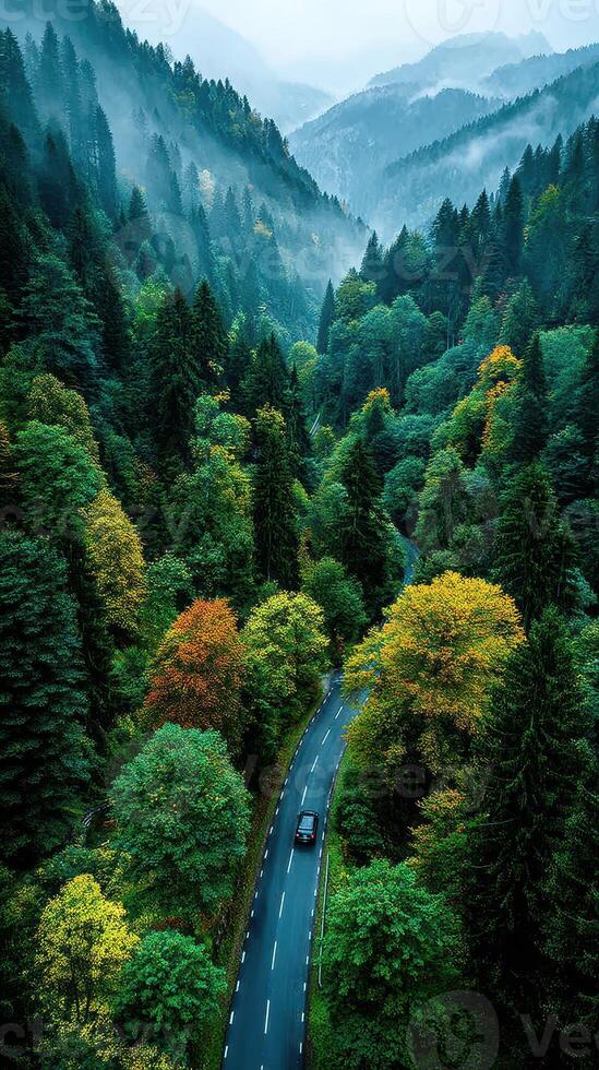 Winding road through a misty forest in mountains showcasing autumn foliage during early morning light photo