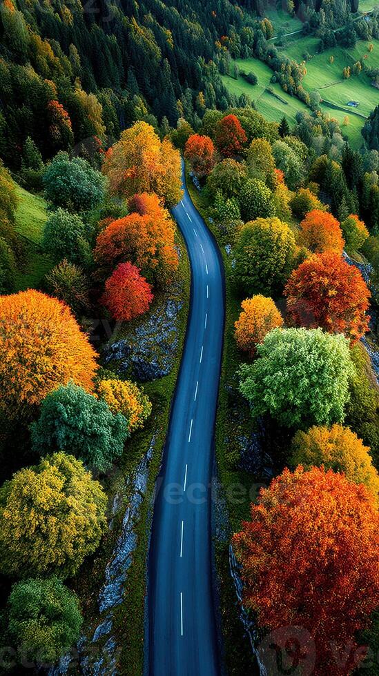 Colorful autumn trees lining a winding road in the countryside during a bright sunny day photo