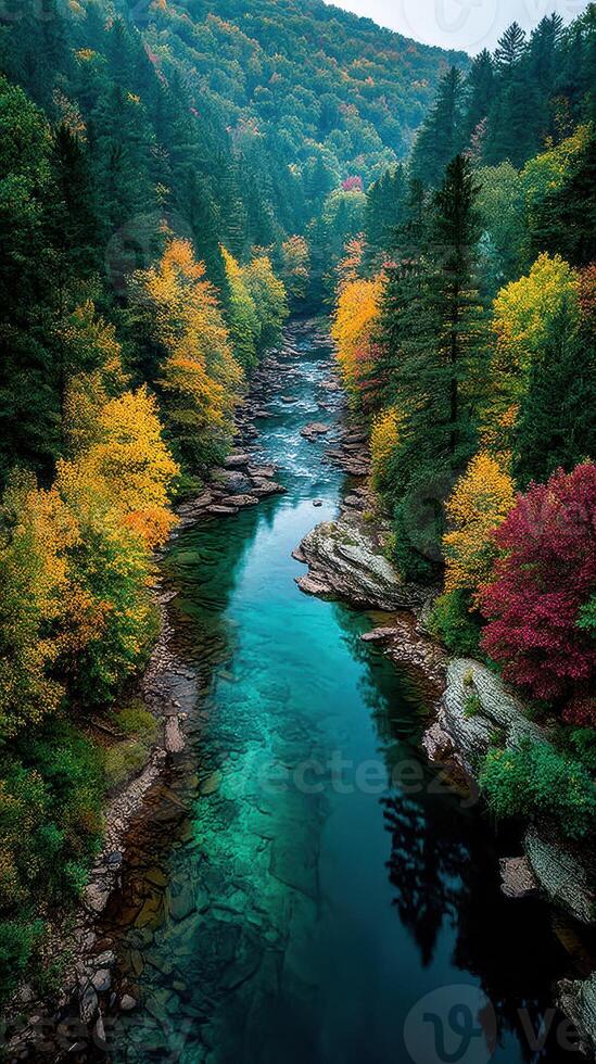 Autumn foliage along a tranquil river in a forested valley at midday photo