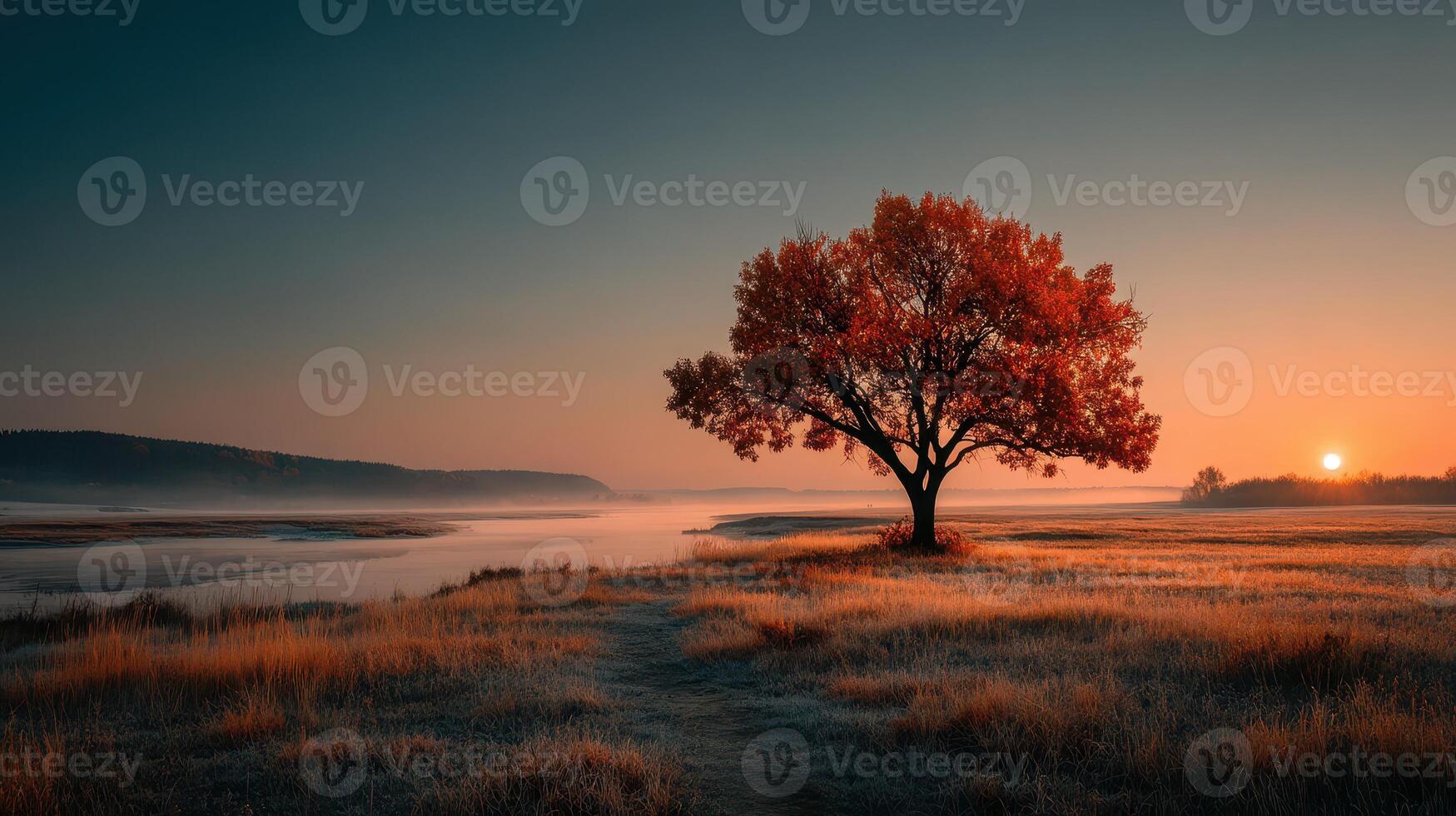 Sunrise over tranquil river with a solitary red tree in serene landscape during autumn photo