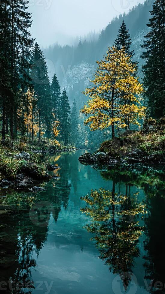 Autumn reflections on a tranquil river surrounded by dense forest in the early morning mist photo