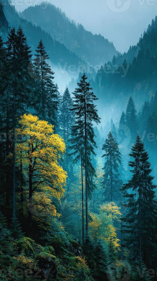 Dense forest with vibrant yellow trees amidst misty mountains during early morning hours photo