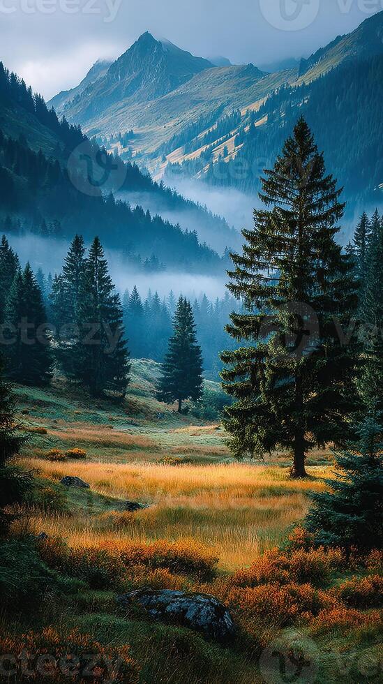 Lush green valley in the mountains with mist and golden grass under a dramatic sky at dawn photo