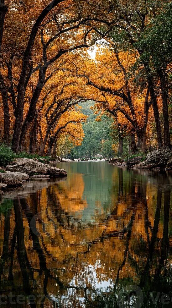 Vibrant autumn colors reflect in calm river at sunset surrounding tranquil forest photo