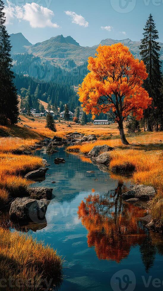 Autumn landscape with a vibrant orange tree reflected in a tranquil mountain stream in the afternoon sun photo