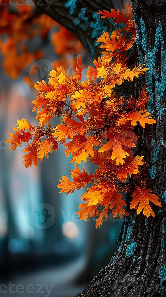 Vibrant autumn leaves contrasting with dark tree bark in a serene forest setting during golden hour photo