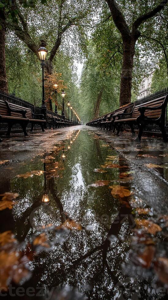 Calm park pathway after rain with reflections of trees and lamps visible in puddles on the ground photo