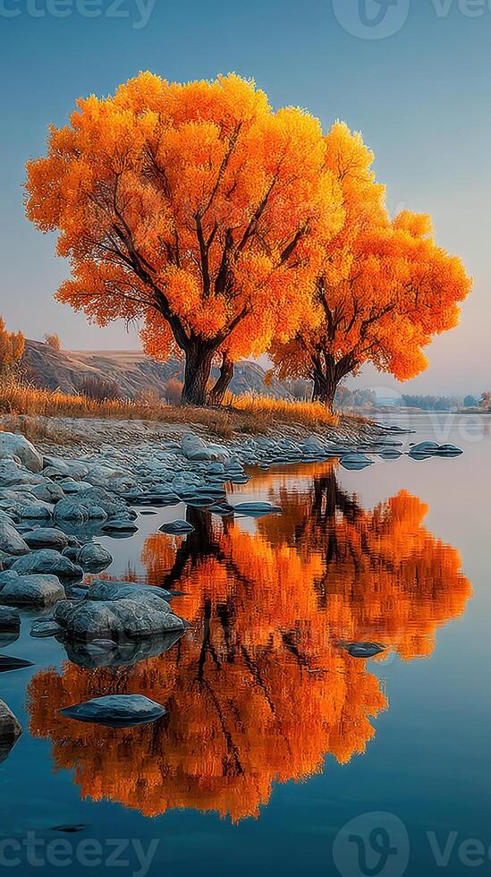 Vibrant autumn trees reflect in calm river at sunset, creating a stunning natural landscape in serene setting photo