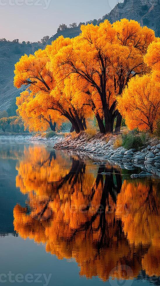 Vibrant autumn trees reflect in tranquil river at sunrise photo