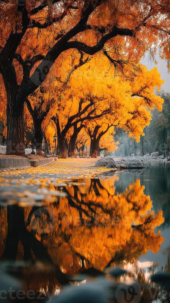 Vibrant autumn trees reflect in calm water at a serene riverside location during late afternoon photo