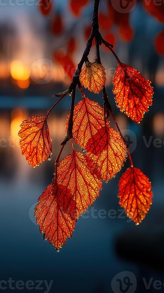 Bright orange leaves glisten with dew against a serene lake at sunrise in autumn photo
