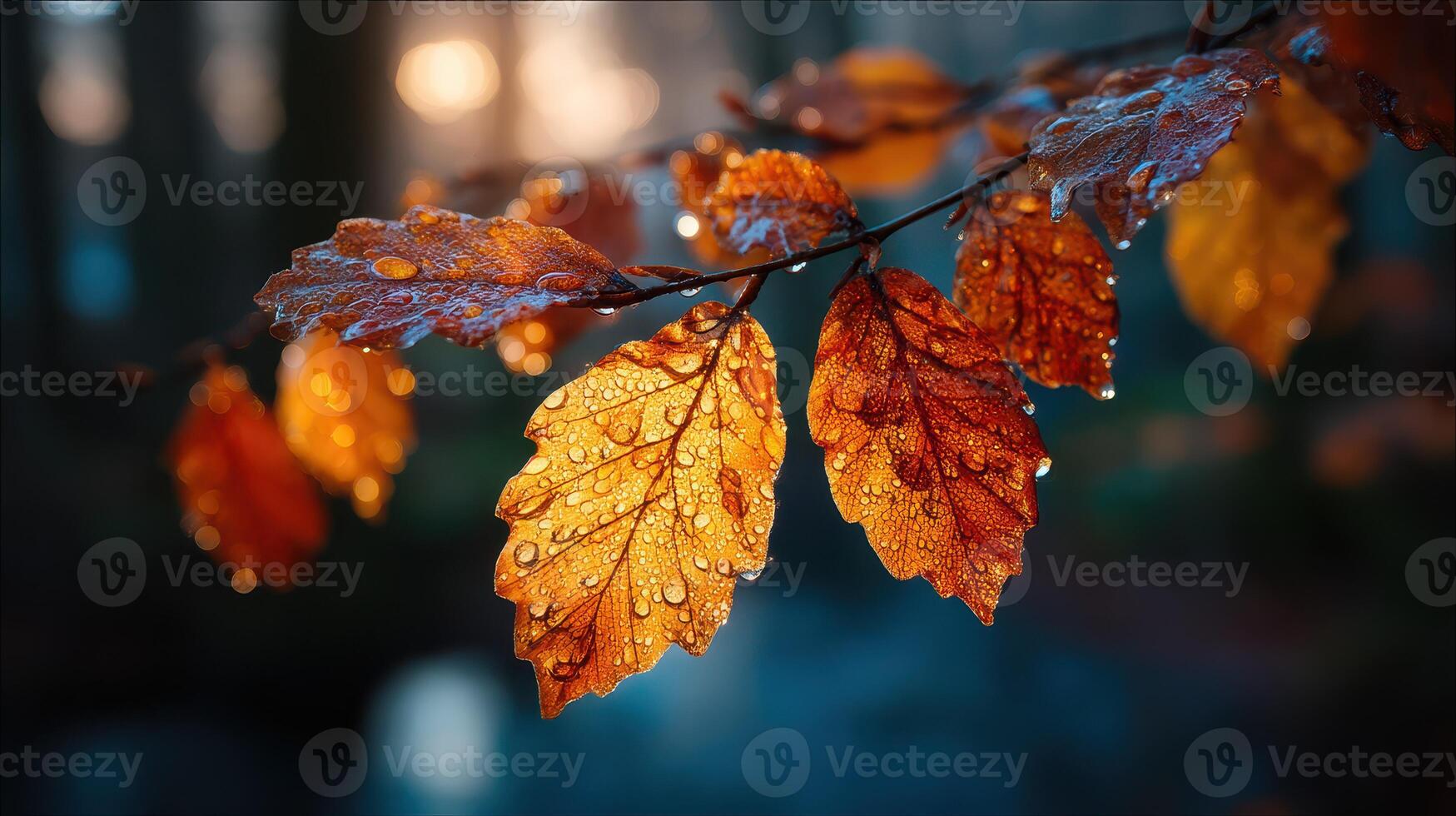 Autumn leaves glisten with droplets in a serene forest setting during the early morning light photo