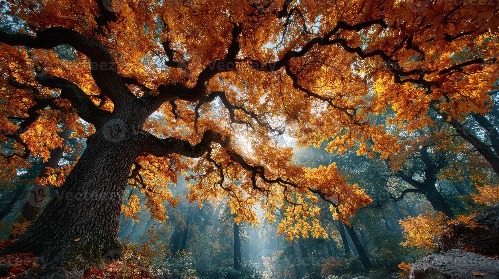 Majestic autumn forest showcasing vibrant orange leaves and sun rays filtering through the trees during a calm morning photo