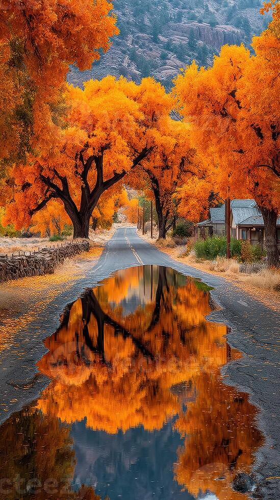 Colorful autumn trees arch over a winding road reflecting in a puddle in a serene rural landscape photo