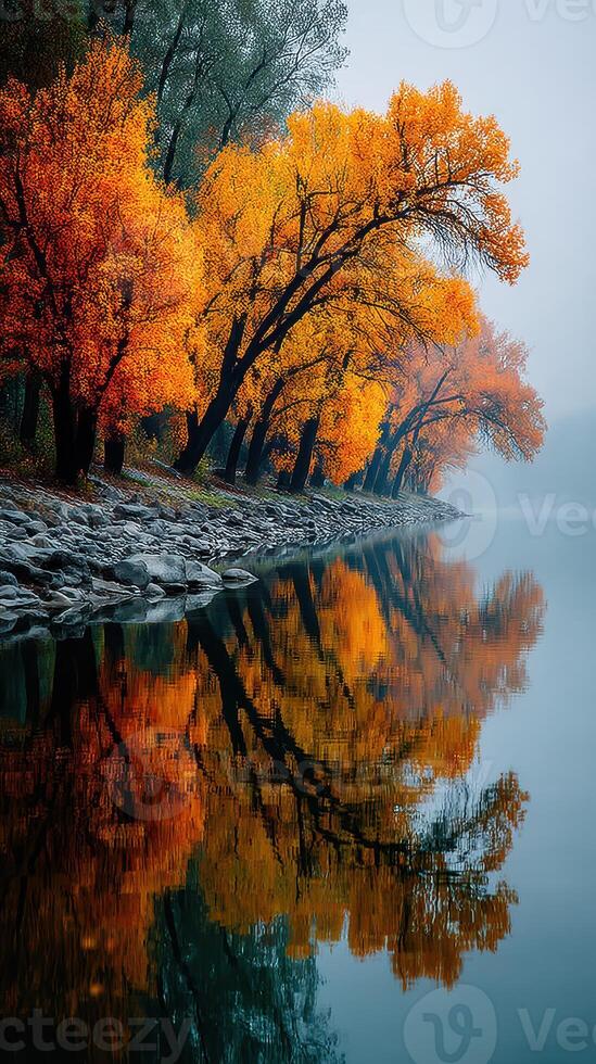 Autumn trees reflecting in calm water at riverbank during foggy day in serene natural setting photo