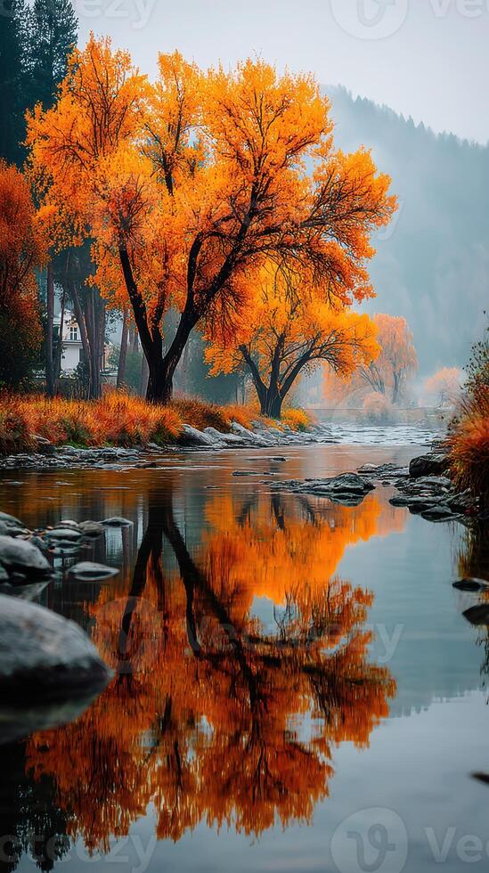 Autumn foliage reflects on a calm river in a serene landscape during early morning hours photo
