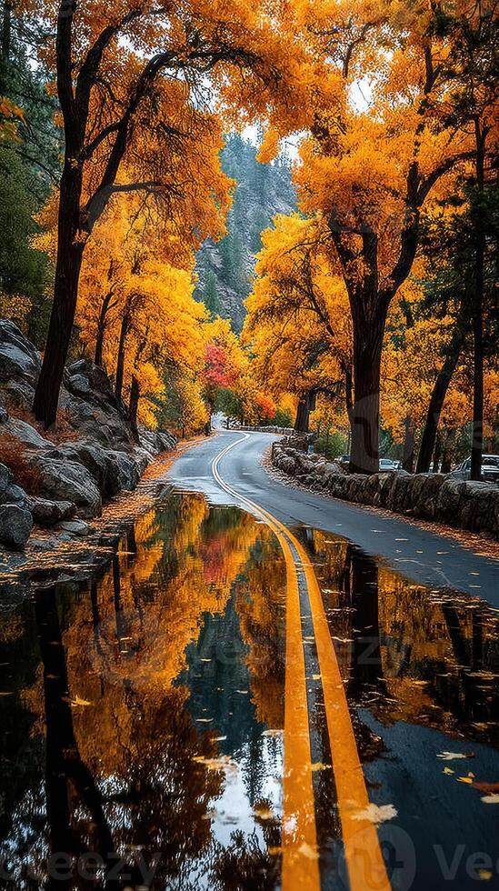 Serene autumn path lined with vivid trees and reflections after rainfall in a tranquil landscape photo