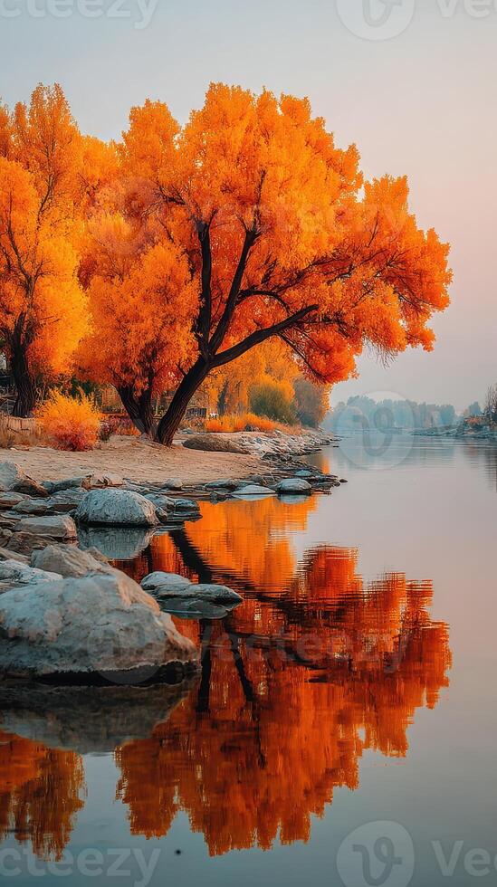Vibrant autumn colors reflected in calm river landscape during golden hour near serene tree line photo