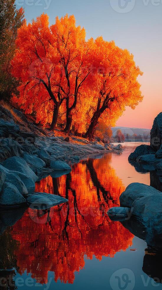 Vibrant autumn trees reflect in calm water at sunset beside riverbanks photo