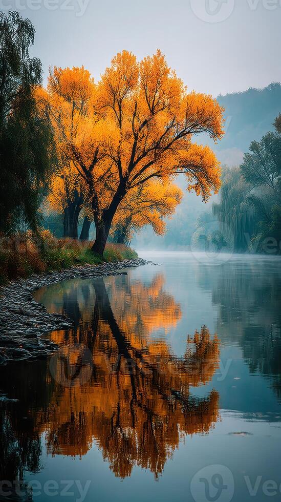 Vibrant autumn trees reflect on tranquil river at sunrise in serene landscape photo