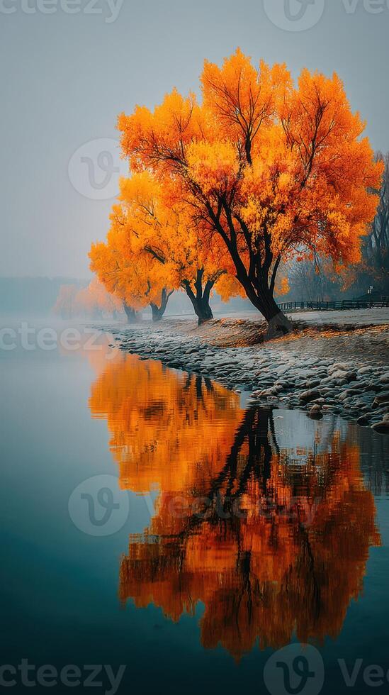 Colorful autumn trees reflect in calm river water at dawn near scenic shoreline photo