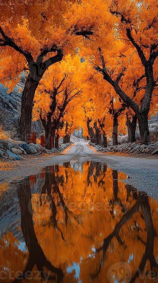 Autumn trees reflect on a tranquil road creating a stunning natural landscape in a vibrant setting photo