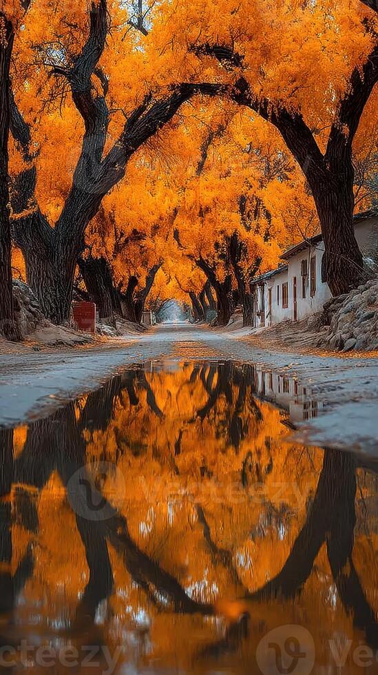 Golden autumn trees reflect in peaceful puddle along serene road in rural area surrounded by charming old buildings photo