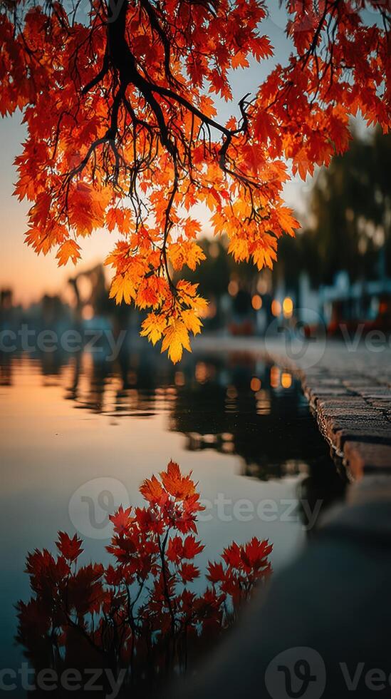 Vibrant autumn leaves reflect on calm water at sunset by a serene lakeside photo