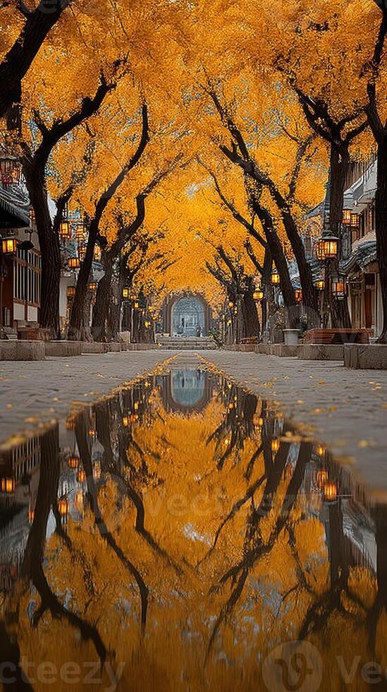 Autumn pathway lined with golden ginkgo trees in a serene city setting photo