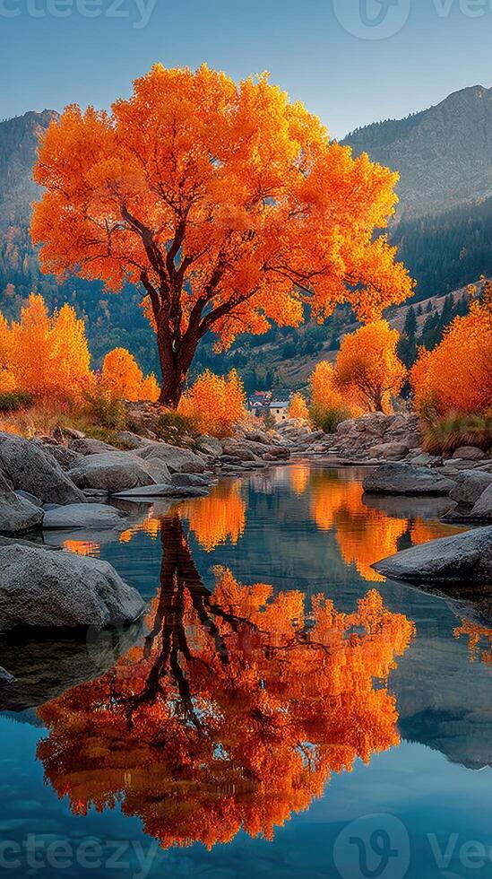 Vibrant autumn colors reflect in still water near a majestic tree in a serene landscape photo
