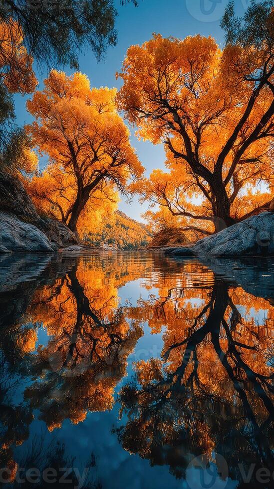 Autumn trees reflect in calm water during sunset in a serene natural landscape photo