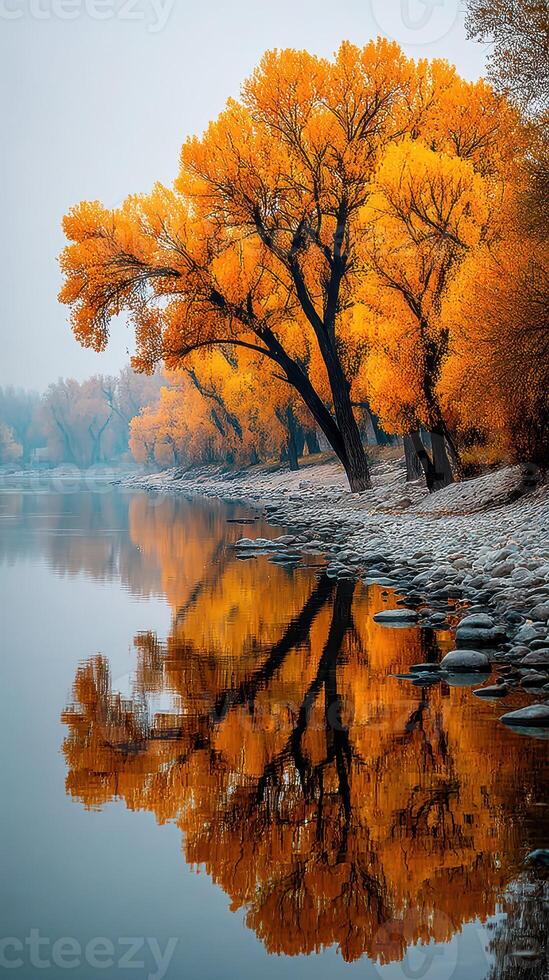 Vibrant autumn trees reflecting in a serene river during early morning light photo