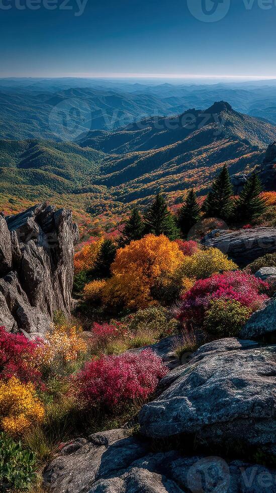 Vibrant autumn foliage blankets the mountains in a colorful landscape during a clear day in the Blue Ridge region photo