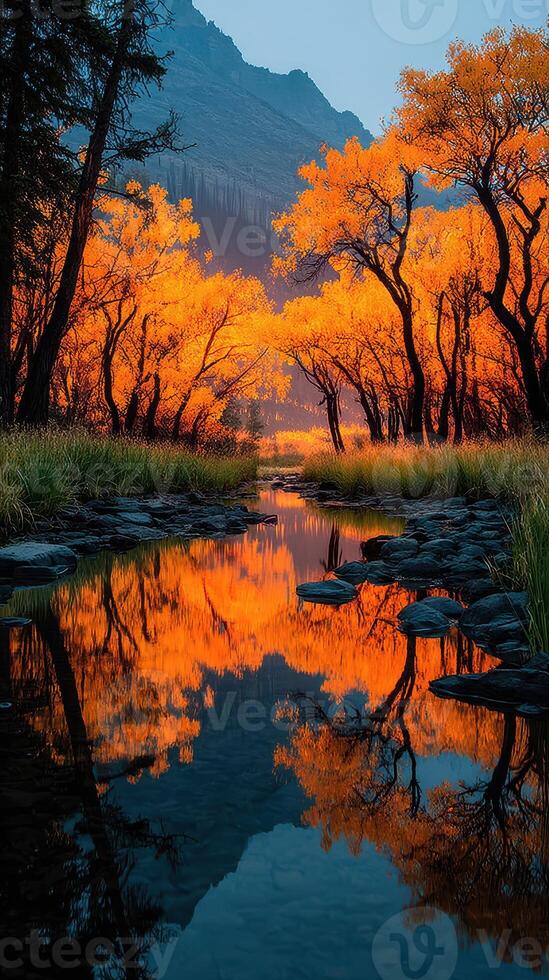 Autumn foliage reflects on tranquil stream in a serene forest landscape during golden hour photo