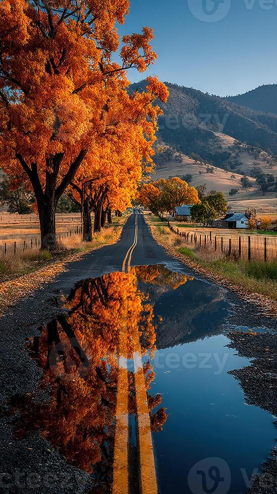 Autumn road lined with vibrant trees reflecting on a puddle under a clear sky photo