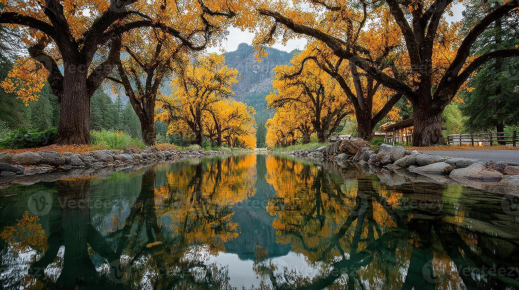 Golden autumn trees reflect in a tranquil stream at a serene park during a clear fall afternoon photo