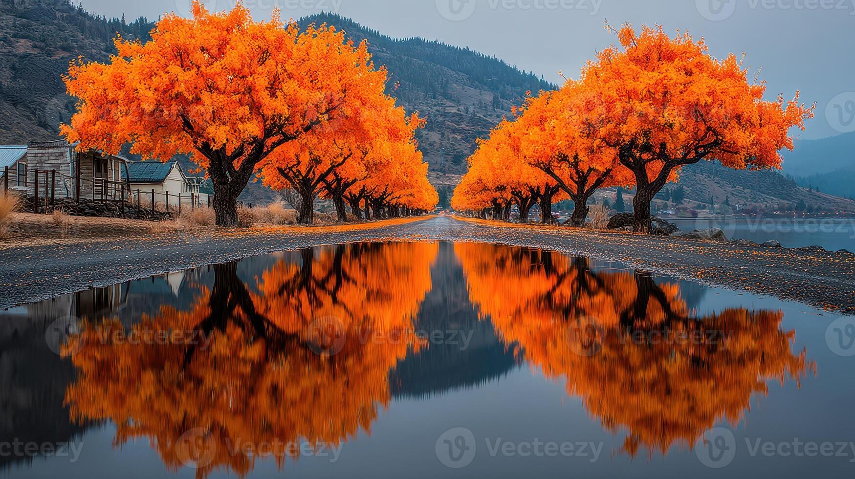 Vibrant autumn trees reflect in tranquil water along a scenic lakeside road in the early morning light photo