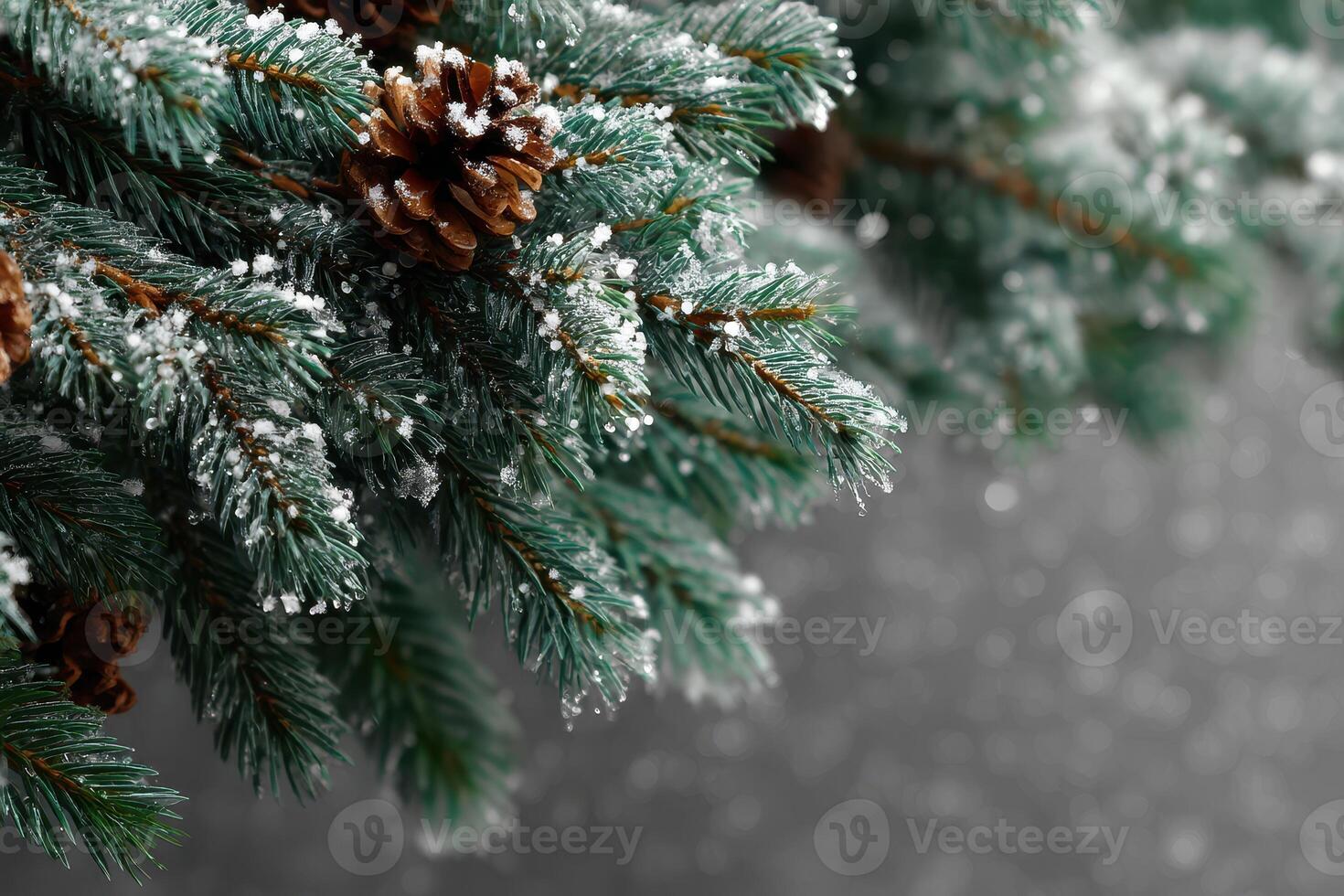 Frost-covered pine branches adorned with pine cones evoke a winter wonderland setting for seasonal festivities photo