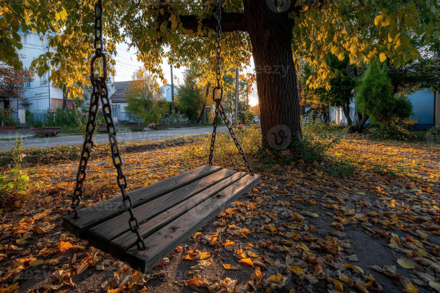 Sunset casting warm light on a swing under a tree in autumn photo